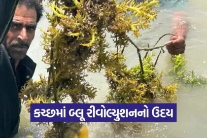 Blue Economy Kutch 1