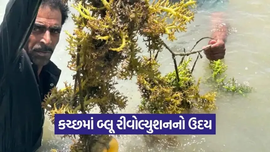 Blue Economy Kutch 1