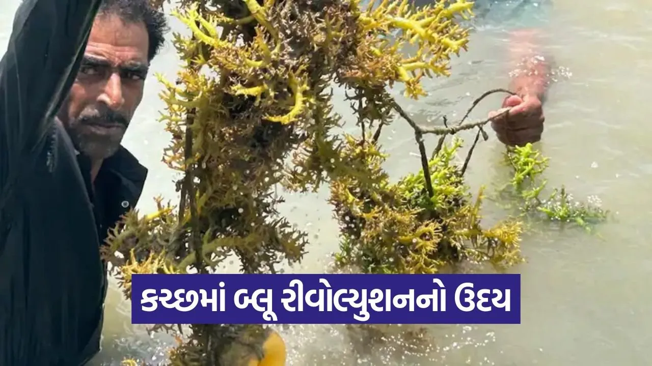 Blue Economy Kutch 1.jpg