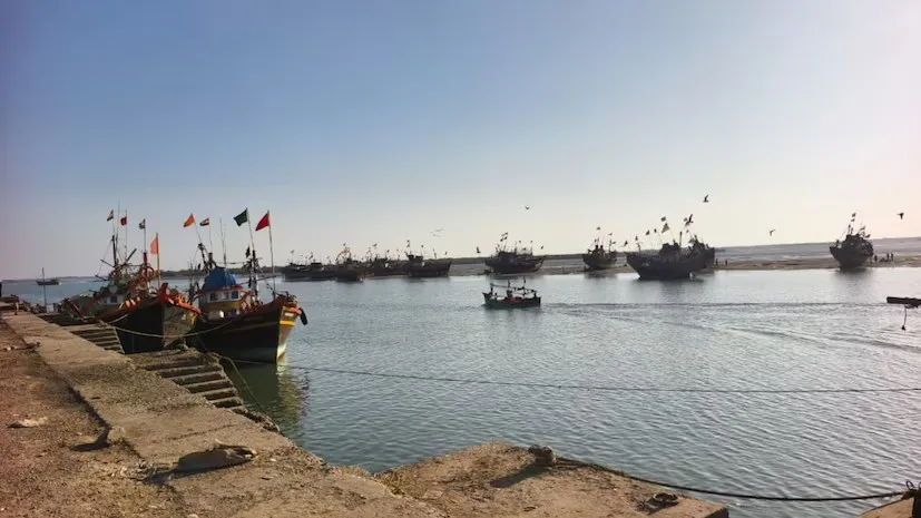 આત્મનિર્ભર ભારતના સ્વપ્નમાં કચ્છની બ્લૂ ઇકોનોમીનું મહત્વપૂર્ણ યોગદાન 3 Blue Economy Kutch 2.png