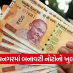 Bhavnagar Fake Currency Case 1
