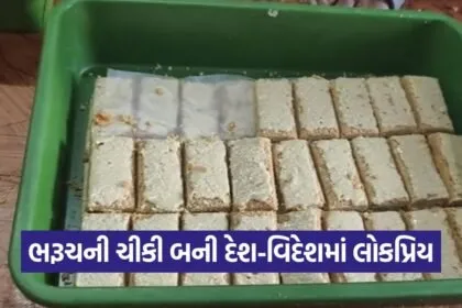 Bharuch Chikki 1