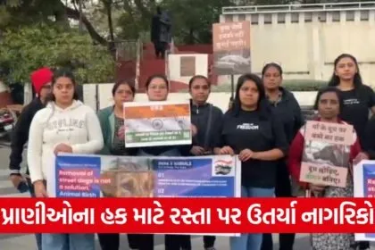 stray animal rights protest 1
