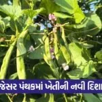 Jesar Valol Farming 1