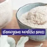 INDIA 1 46