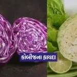 Dharmishtha 2026 01 07T145900.843