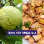 Dharmishtha 2026 01 07T171627.446