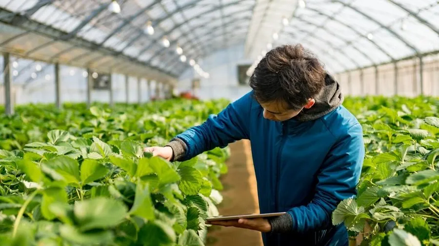 Agriculture job