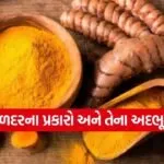 dharmishtha 1 27