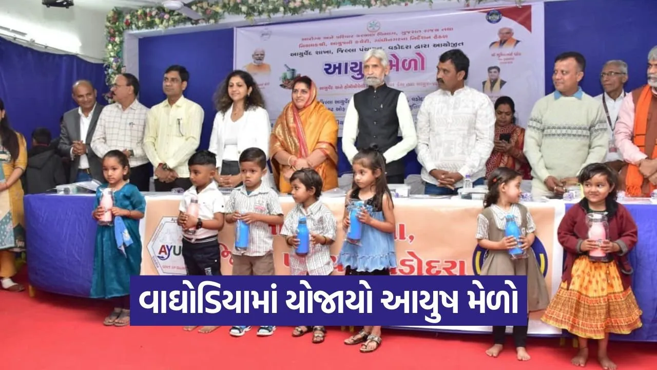 Vaghodia Ayush Mela Malnutrition MOU 1.jpg