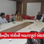 Somnath Swabhiman Parv Preparations 1