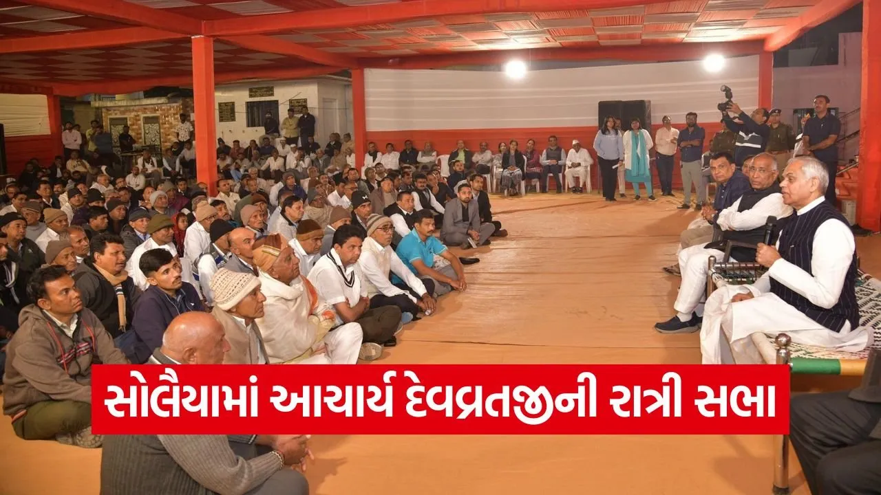 Acharya Devvrat Solaiya Village Night Meeting 1.jpg