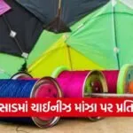 Valsad Makar Sankranti Manja Ban 2026 1