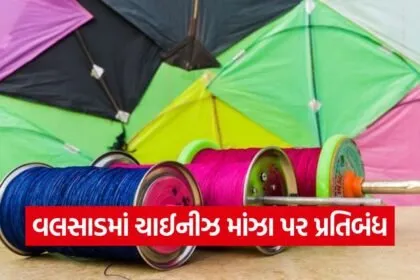 Valsad Makar Sankranti Manja Ban 2026 1