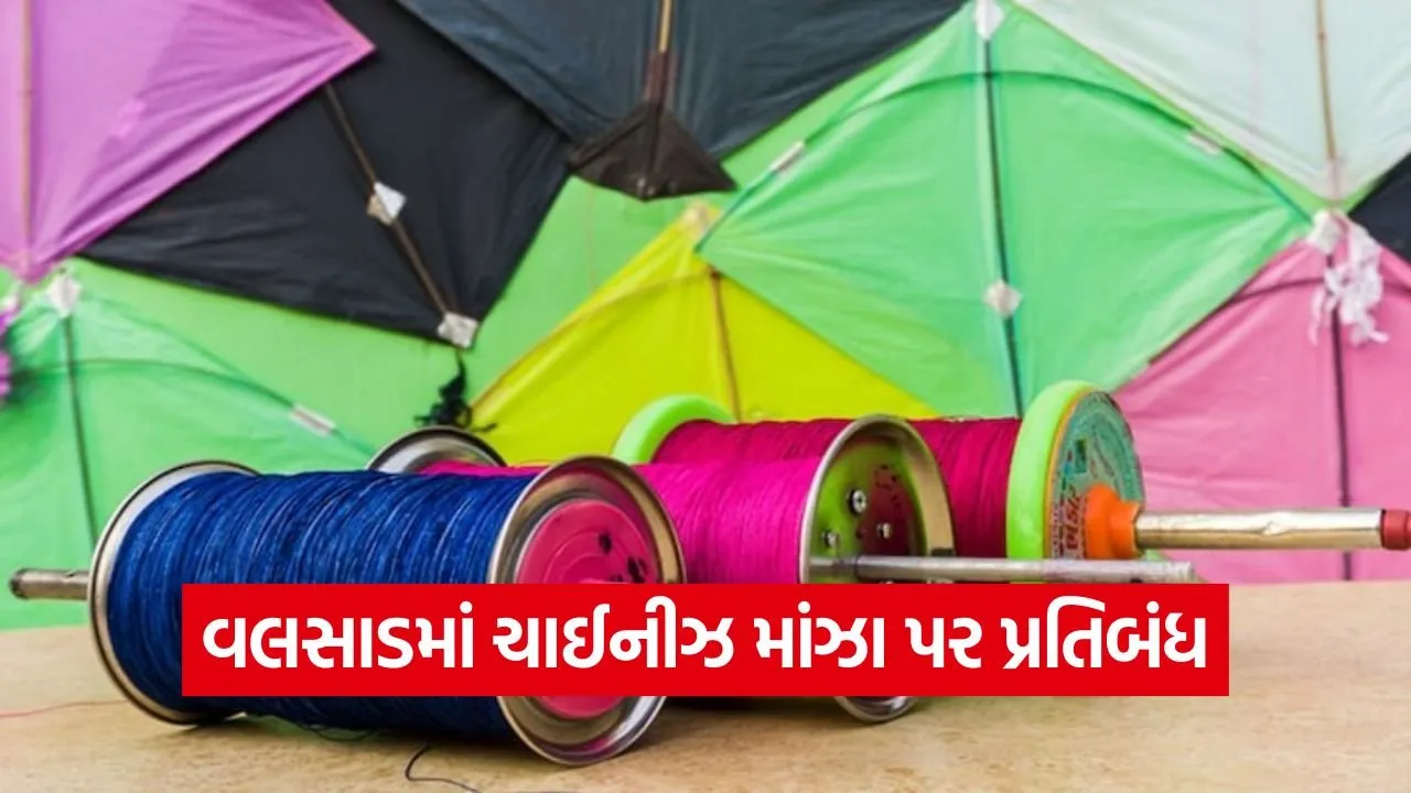Valsad Makar Sankranti Manja Ban 2026 1.jpg