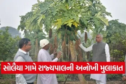 Governor Acharya Devvrat Mansa Visit 1