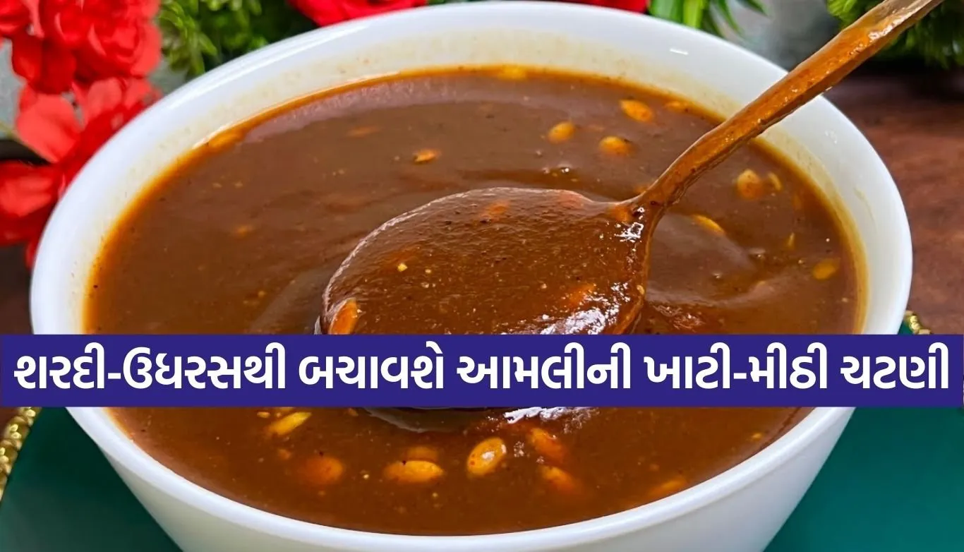 Tamarind sweet and sour chutney