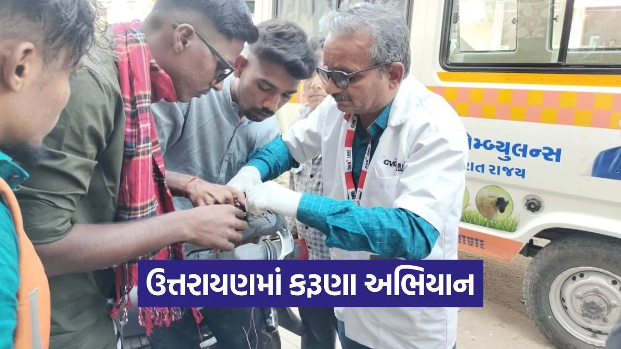 Karuna Abhiyan Bird Rescue 2026 1.jpg