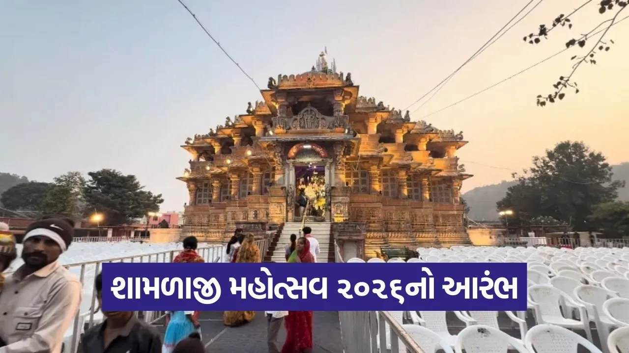 Shamlaji Mahotsav 2026 Osman Mir 1.jpg