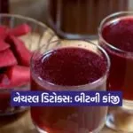 Dharmishtha 2026 01 09T155717.006