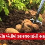 Dehgam Natural Farming Success Story 1