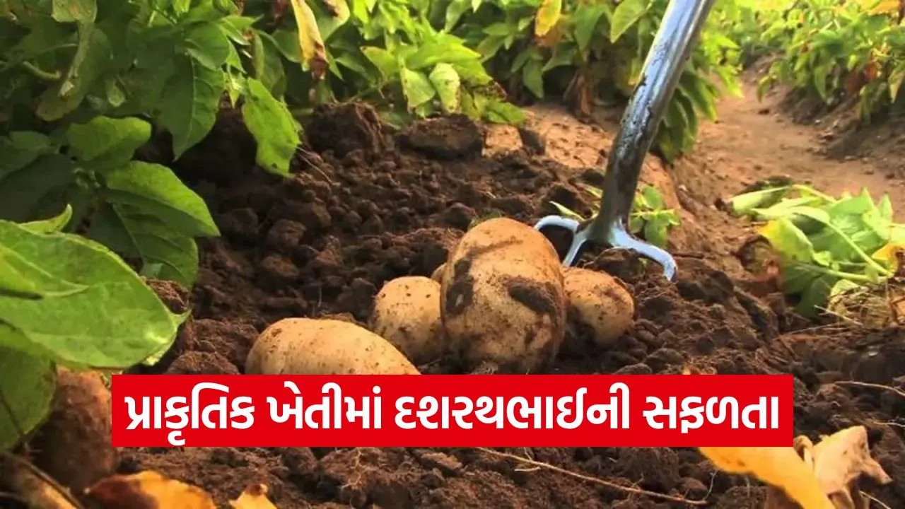 Dehgam Natural Farming Success Story 1.jpg