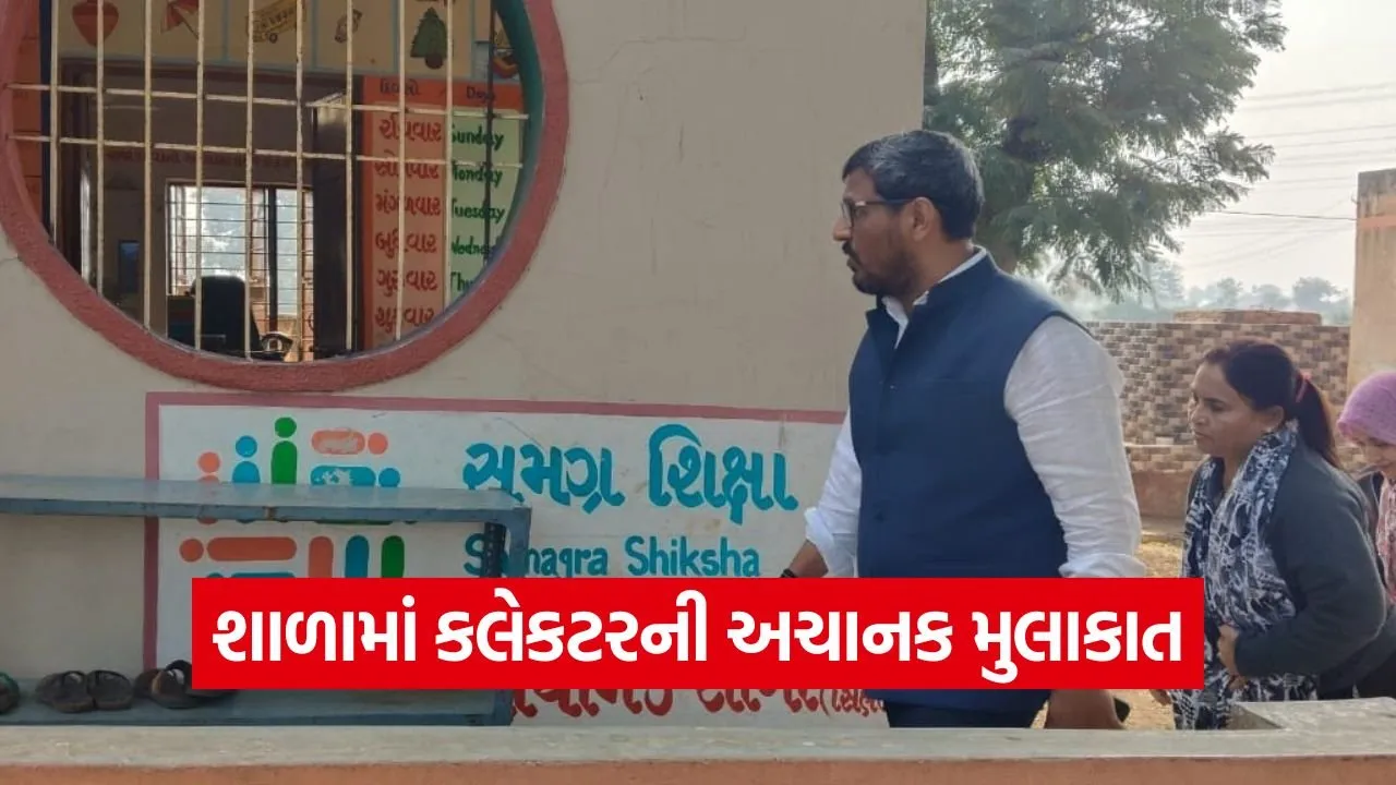 Anand Collector School Inspection 1.jpg