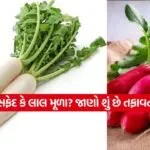 INDIA 1 2026 01 10T121556.374