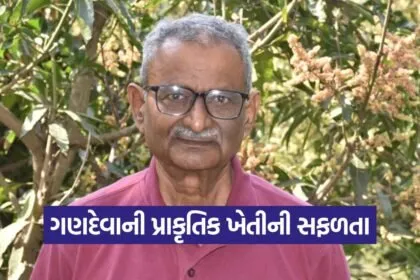 Gandeva Natural Farming Success Story 1