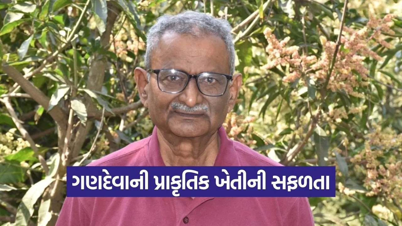 Gandeva Natural Farming Success Story 1.jpg