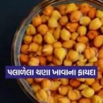 Dharmishtha 9