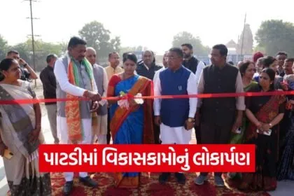 Patdi Nagar Palika Development Works