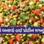 Moong Salad