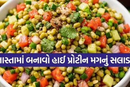 Moong Salad