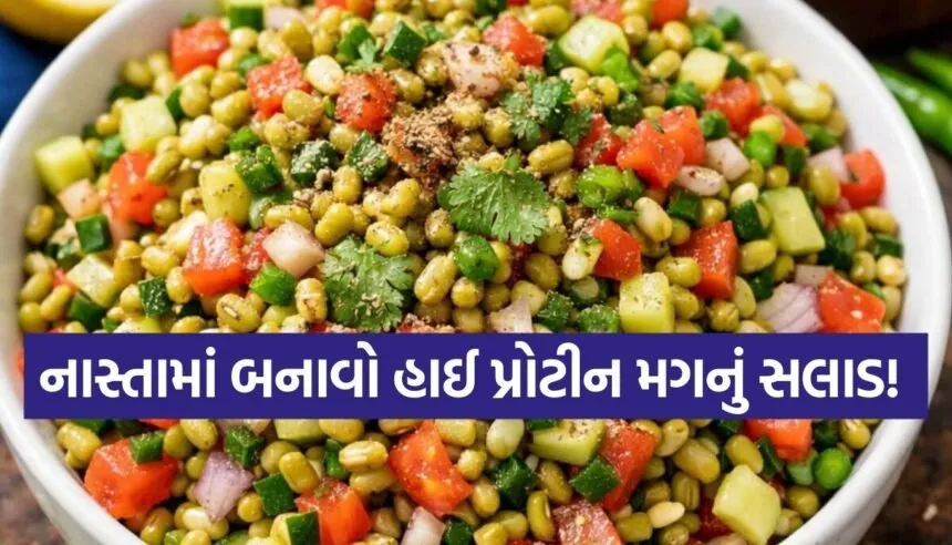 Moong Salad