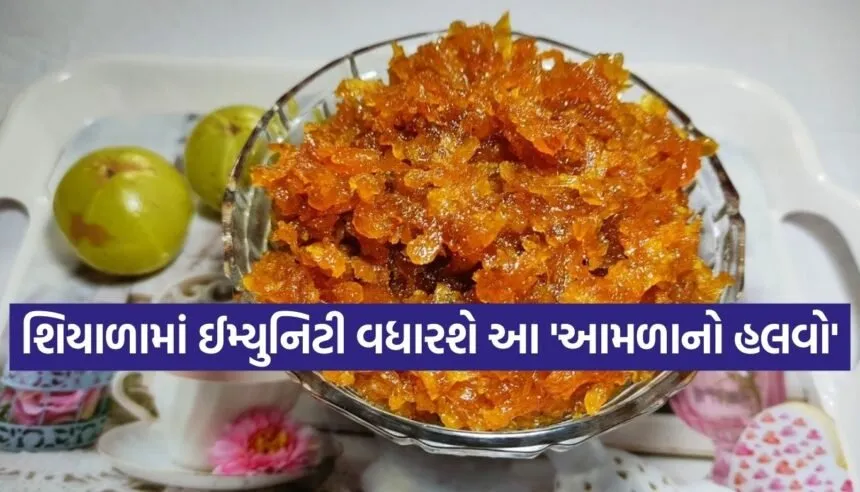 Amla Halwa