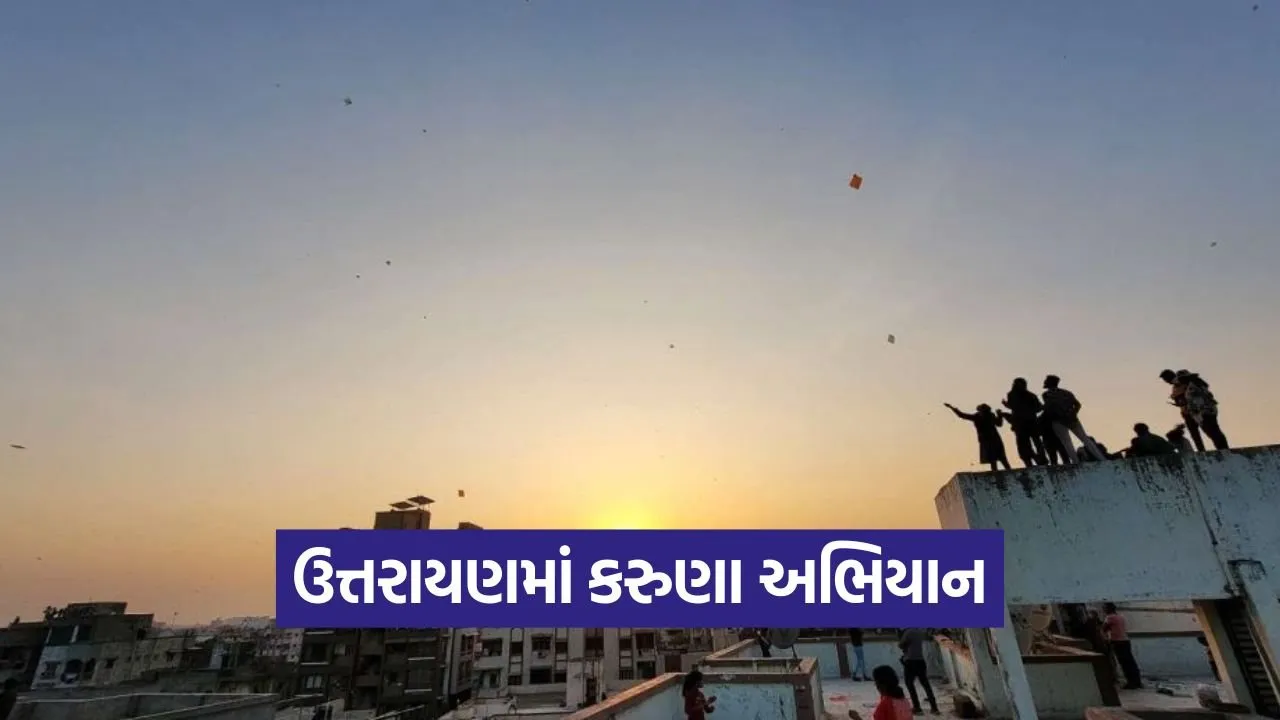 Anand Uttarayan Karuna Abhiyan 2026 1.jpg