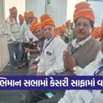 Somnath Shourya Swabhiman Sabha Senior Citizens 1