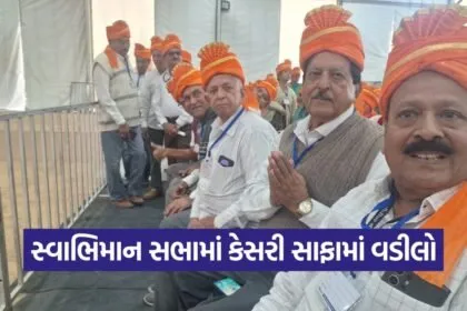 Somnath Shourya Swabhiman Sabha Senior Citizens 1