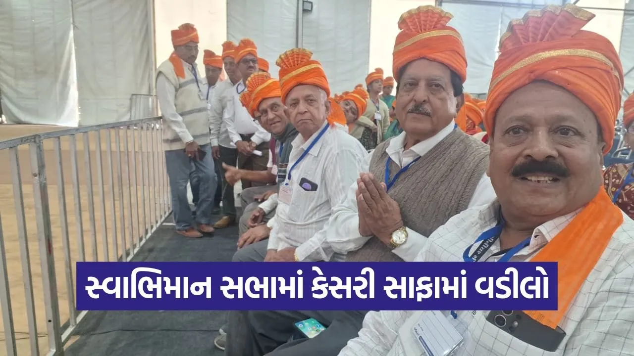 Somnath Shourya Swabhiman Sabha Senior Citizens 1.jpg