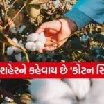 Cotton City