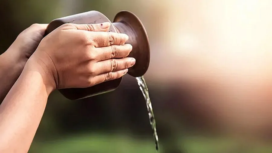 કુંડળીમાં સૂર્ય નબળો છે? રવિવારે આ સરળ આયુર્વેદિક અને આધ્યાત્મિક ઉપાયોથી મેળવો તેજસ્વી સંતાન 2 Surya Arghya