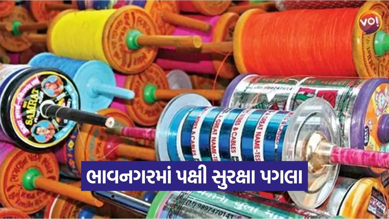Bhavnagar Uttarayan Firecracker Ban 2026 1.jpg
