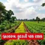 Brahmastra Natural Farming Insecticide 1