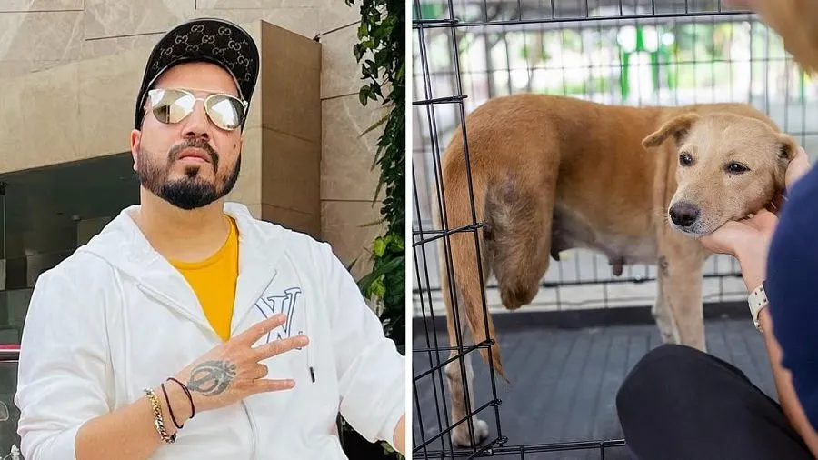 Mika Singh