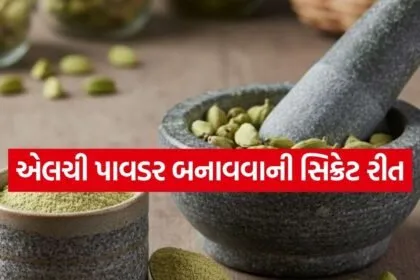 Cardamom powder