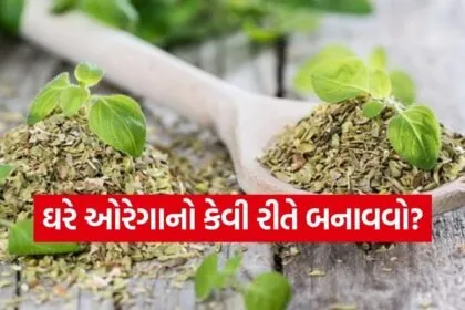Oregano