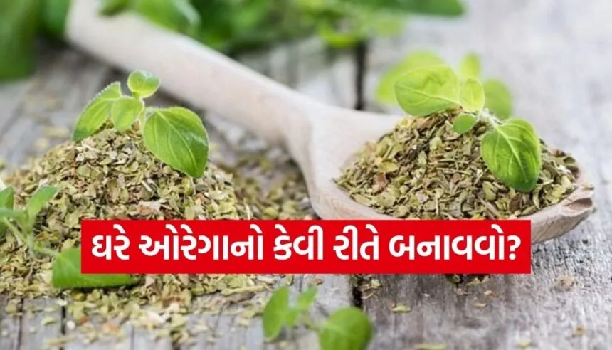 Oregano