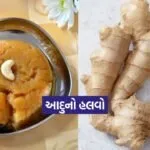 Dharmishtha 2026 01 13T165113.558