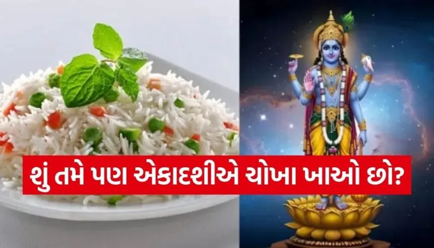 Ekadashi 2026
